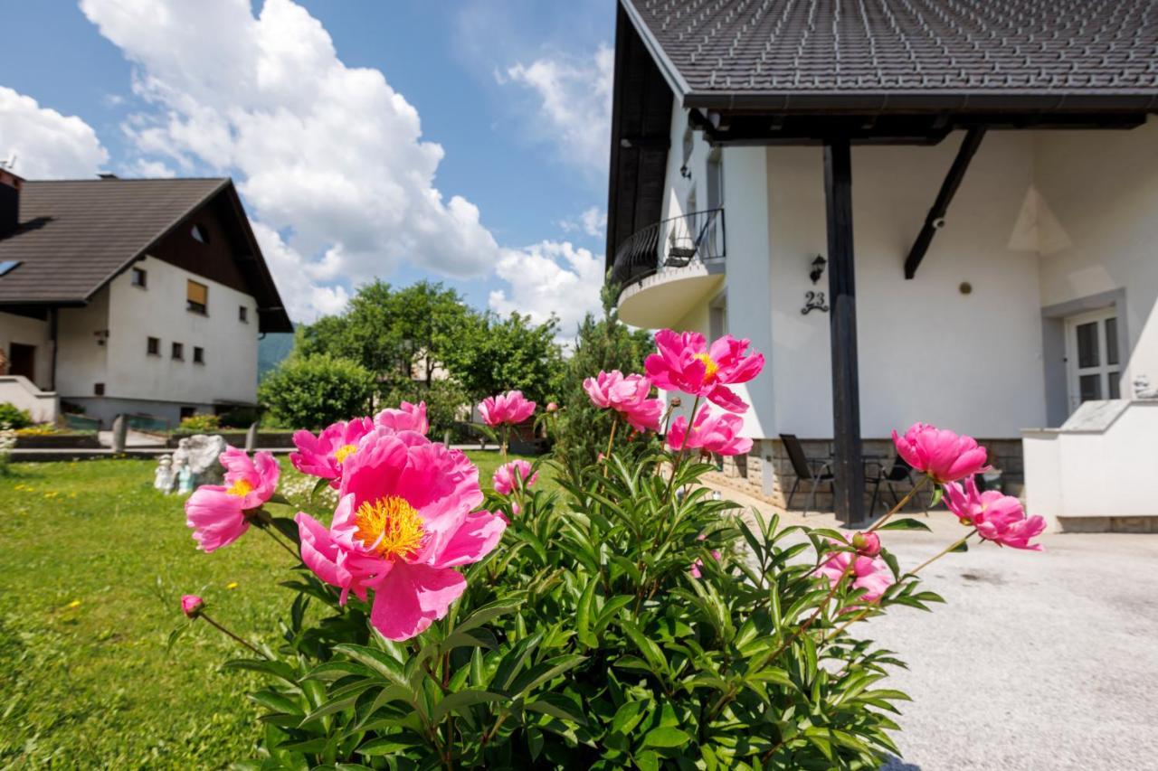 Apartment Wolf Bohinj Esterno foto